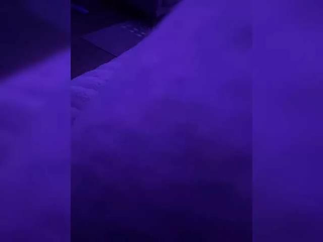 NonSar on BongaCams 