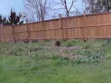 ells_palace on Chaturbate 