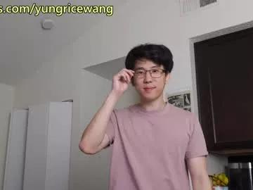yungricewang on Chaturbate 
