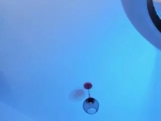 alisson_mendez on Flirt4Free