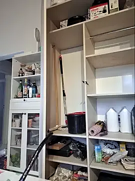 AbidingAuspices model from sc