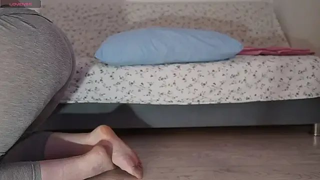 Fecvht45 model from sc