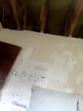 Hittwobird_withonestone's avatar