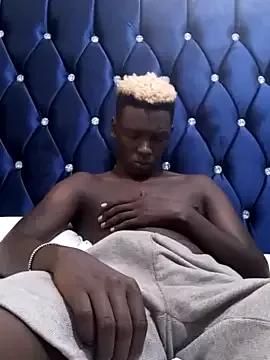 Kuhusus on StripChat 
