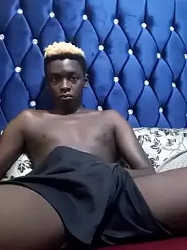 Kuhusus on StripChat 