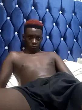 Kuhusus on StripChat 