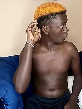 Kuhusus on StripChat 