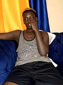 Kuhusus on StripChat 