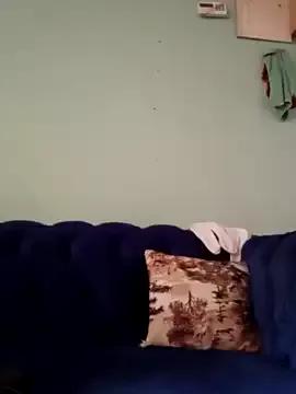 Kuhusus on StripChat 