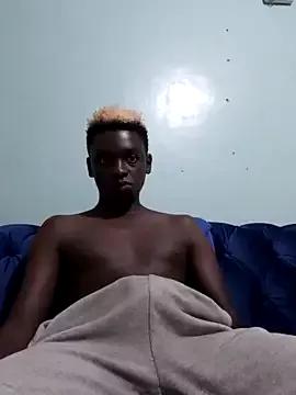 Kuhusus on StripChat 