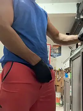 Paul22cm- model from sc