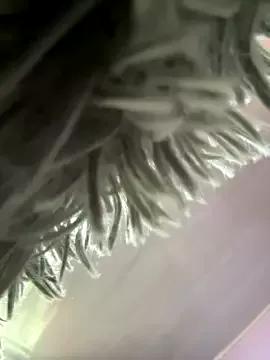 SweetSofi88 on StripChat 